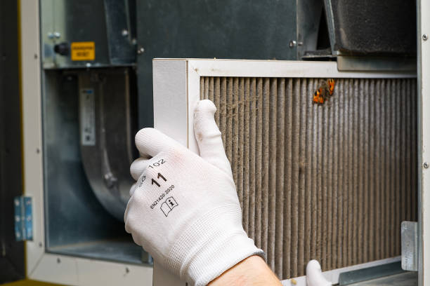 Best HVAC System Cleaning  in Greenup, KY